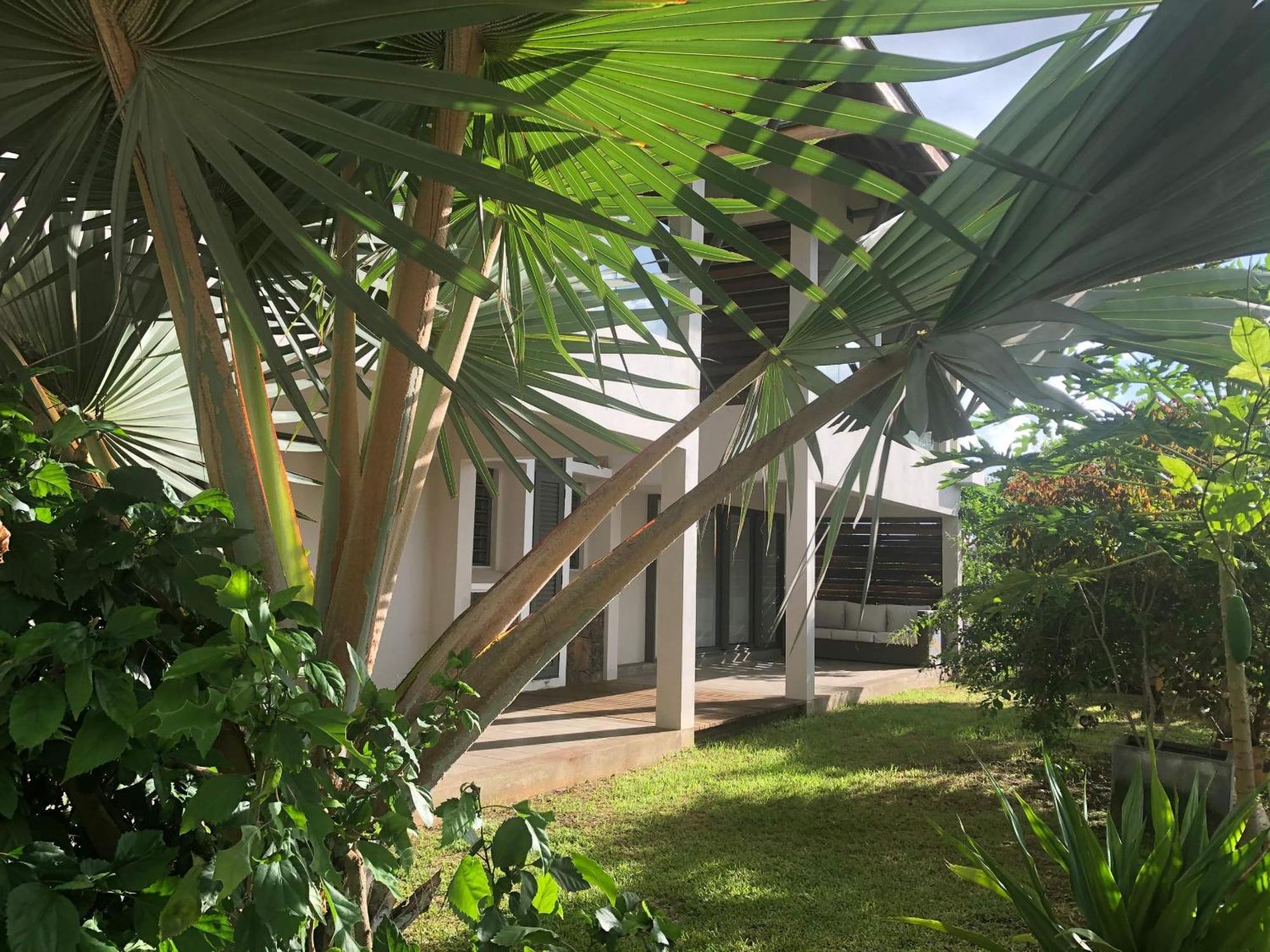 Au Coeur De Tamarin Entre Riviere Et Mer -Magnifique Appartement 3 Chambres- Calme Et Nature Eksteriør bilde